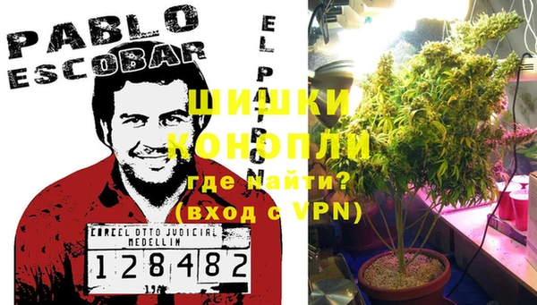 ПСИЛОЦИБИНОВЫЕ ГРИБЫ Алексин