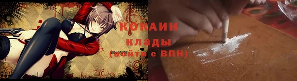 ПСИЛОЦИБИНОВЫЕ ГРИБЫ Алексин