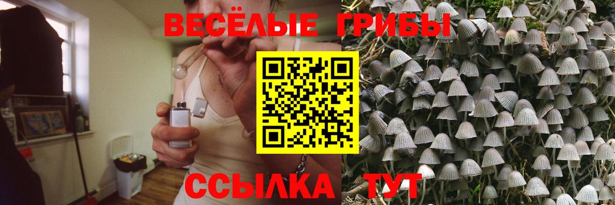 где купить   Вход с VPN  Нарьян-Мар  Псилоцибиновые грибы мухоморы  Псилоцибиновые грибы ЛСД 