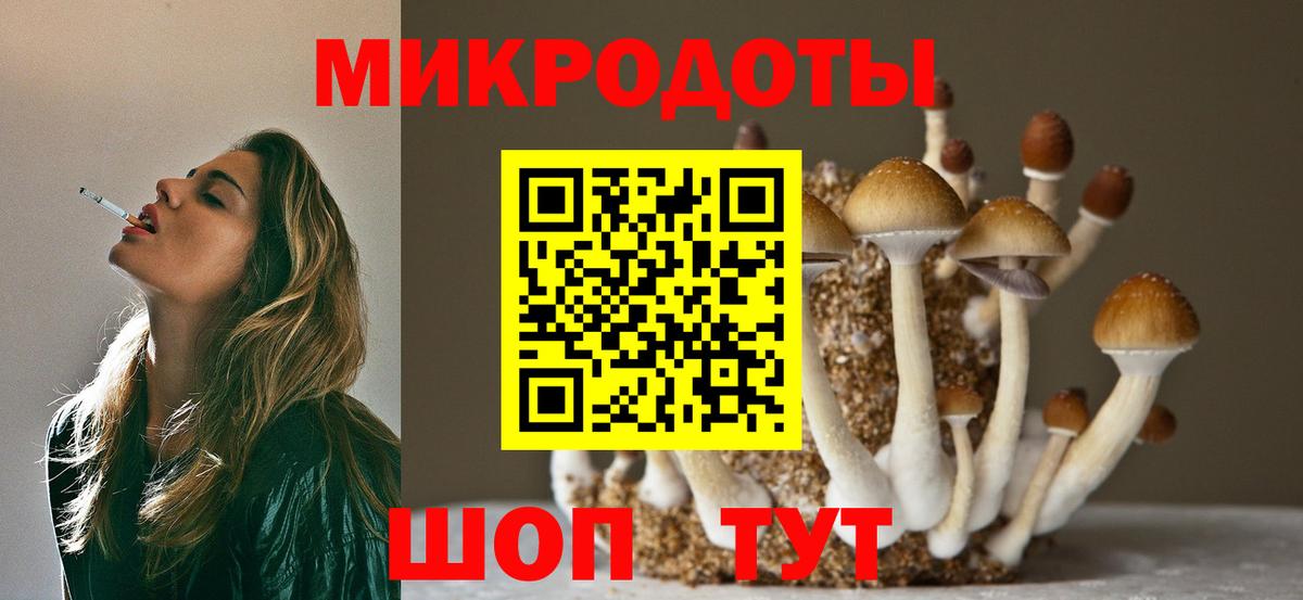 Псилоцибиновые грибы мухоморы Нарьян-Мар